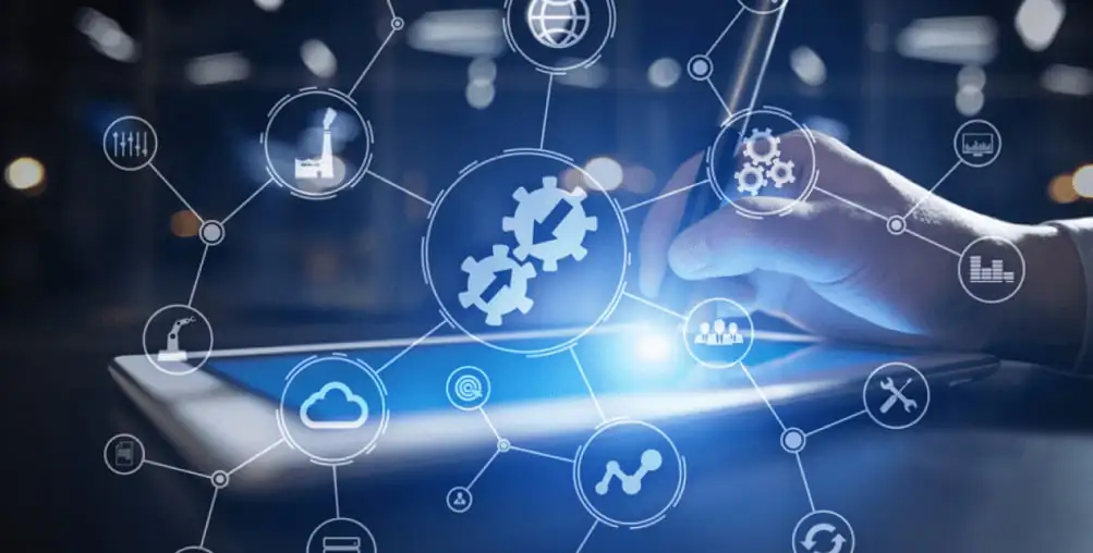 Small Medium organisation