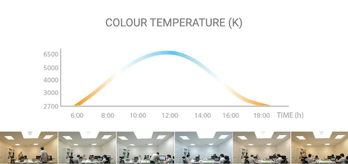 smart lighting home automation systems