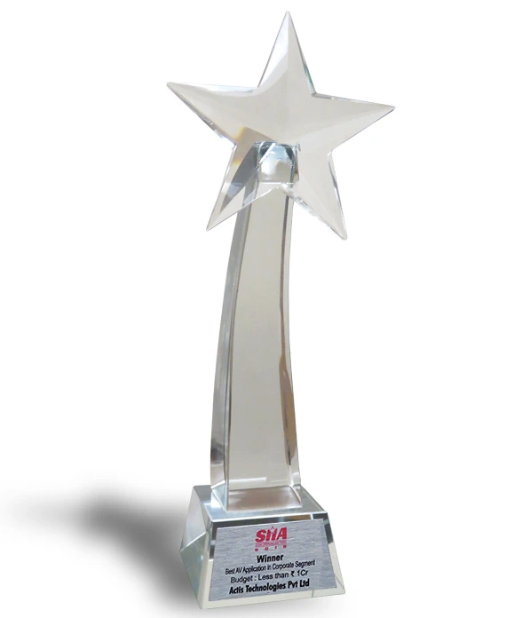 Team Awards 50 Actis_Awards_SIIA_Winner_10cr